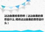 沾沾自喜啥意思?。ㄕ凑醋韵驳囊馑际鞘裁?詞語(yǔ)沾沾自喜的意思是什么）