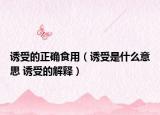 誘受的正確食用（誘受是什么意思 誘受的解釋）