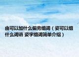 由可以加什么偏旁組詞（姿可以組什么詞語(yǔ) 姿字組詞簡(jiǎn)單介紹）