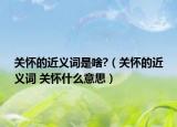 關懷的近義詞是啥?（關懷的近義詞 關懷什么意思）