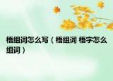梧組詞怎么寫(xiě)（梧組詞 梧字怎么組詞）