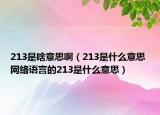 213是啥意思啊（213是什么意思 網(wǎng)絡(luò)語言的213是什么意思）