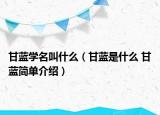 甘藍(lán)學(xué)名叫什么（甘藍(lán)是什么 甘藍(lán)簡單介紹）