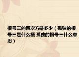根號(hào)三的四次方是多少（孤獨(dú)的根號(hào)三是什么梗 孤獨(dú)的根號(hào)三什么意思）