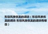 形容風(fēng)景優(yōu)美的詞語（形容風(fēng)景優(yōu)美的詞語 形容風(fēng)景優(yōu)美的詞語有哪些）