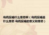烏鴉反哺什么意思?。貘f反哺是什么意思 烏鴉反哺的意義和意思）