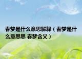 春夢是什么意思解釋（春夢是什么意思思 春夢含義）