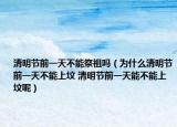 清明節(jié)前一天不能祭祖嗎（為什么清明節(jié)前一天不能上墳 清明節(jié)前一天能不能上墳?zāi)兀? /></span></a>
                        <h2><a href=