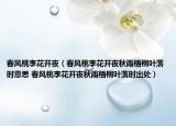 春風(fēng)桃李花開(kāi)夜（春風(fēng)桃李花開(kāi)夜秋雨梧桐葉落時(shí)意思 春風(fēng)桃李花開(kāi)夜秋雨梧桐葉落時(shí)出處）