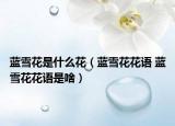 藍(lán)雪花是什么花（藍(lán)雪花花語(yǔ) 藍(lán)雪花花語(yǔ)是啥）