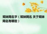 姐妹網(wǎng)名字（姐妹網(wǎng)名 關(guān)于姐妹網(wǎng)名有哪些）
