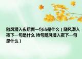 隨風潛入夜后面一句詩是什么（隨風潛入夜下一句是什么 詩句隨風潛入夜下一句是什么）