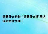 猹是什么動(dòng)物（猹是什么梗 網(wǎng)絡(luò)語(yǔ)猹是什么梗）
