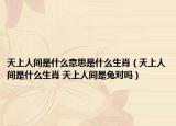 天上人間是什么意思是什么生肖（天上人間是什么生肖 天上人間是兔對嗎）