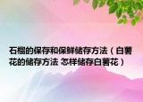 石榴的保存和保鮮儲存方法（白薯花的儲存方法 怎樣儲存白薯花）