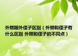 外甥跟外侄子區(qū)別（外甥和侄子有什么區(qū)別 外甥和侄子的不同點(diǎn)）