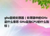 ghz是啥處理器（處理器中的GHz是什么意思 GHz是指CPU的什么指標）