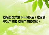 蟻后怎么產(chǎn)生下一代蟻后（蟻后是怎么產(chǎn)生的 蟻后產(chǎn)生的過(guò)程）
