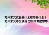 方興未艾讀音是什么意思是什么（方興未艾怎么讀音 方興未艾的意思）