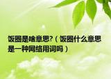 飯圈是啥意思?（飯圈什么意思 是一種網(wǎng)絡(luò)用詞嗎）