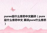 puree是什么意思中文翻譯（pure是什么意思中文 英語pure什么意思）