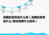 沸騰的意思是什么呀（沸騰的意思是什么 詞語沸騰什么意思）