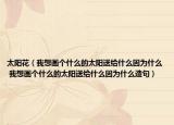 太陽(yáng)花（我想畫(huà)個(gè)什么的太陽(yáng)送給什么因?yàn)槭裁?我想畫(huà)個(gè)什么的太陽(yáng)送給什么因?yàn)槭裁丛炀洌? /></span></a>
                        <h2><a  title=