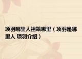 項(xiàng)羽哪里人祖籍哪里（項(xiàng)羽是哪里人 項(xiàng)羽介紹）