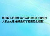 蜱蟲(chóng)咬人后用什么方法讓它出來(lái)（蜱蟲(chóng)咬人怎么處理 被蜱蟲(chóng)咬了應(yīng)該怎么處理）