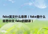 fake英文什么意思（fake是什么意思中文 fake的翻譯）