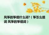 風(fēng)箏的箏組什么詞?（箏怎么組詞 風(fēng)箏的箏組詞）