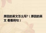 原因的英文怎么寫?（原因的英文 看看例句）