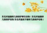 東北虎是國家?guī)准?jí)保護(hù)野生動(dòng)物（東北虎是國家?guī)准?jí)保護(hù)動(dòng)物 東北虎是屬于國家?guī)准?jí)保護(hù)動(dòng)物）