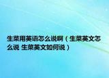 生菜用英語怎么說?。ㄉ擞⑽脑趺凑f 生菜英文如何說）