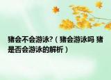 豬會(huì)不會(huì)游泳?（豬會(huì)游泳嗎 豬是否會(huì)游泳的解析）