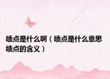 績點是什么?。凕c是什么意思 績點的含義）