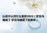 認房不認貸什么意思2023（夢見馬桶堵了 夢見馬桶堵了的意思）
