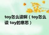 toy怎么讀?。╰oy怎么讀 toy的意思）