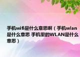 手機(jī)wifi是什么意思?。ㄊ謾C(jī)wlan是什么意思 手機(jī)里的WLAN是什么意思）