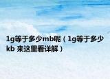 1g等于多少mb呢（1g等于多少kb 來這里看詳解）