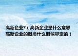 高新企業(yè)?（高新企業(yè)是什么意思 高新企業(yè)的概念什么時(shí)候界定的）