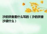 沙的拼音是什么寫(xiě)的（沙的拼音 沙讀什么）