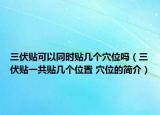 三伏貼可以同時貼幾個穴位嗎（三伏貼一共貼幾個位置 穴位的簡介）