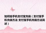 如何給手機支付寶充值（支付寶手機充值方法 支付寶手機充值方法簡述）