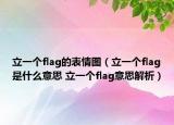 立一個(gè)flag的表情圖（立一個(gè)flag是什么意思 立一個(gè)flag意思解析）