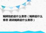 婉轉(zhuǎn)指的是什么意思（婉轉(zhuǎn)是什么意思 詞語婉轉(zhuǎn)是什么意思）