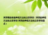 芙蓉菊的家庭養(yǎng)殖方法和注意事項(xiàng)（芙蓉的養(yǎng)殖方法和注意事項(xiàng) 芙蓉的養(yǎng)殖方法和注意事項(xiàng)盤點(diǎn)）