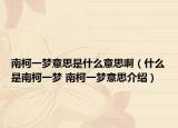 南柯一夢(mèng)意思是什么意思?。ㄊ裁词悄峡乱粔?mèng) 南柯一夢(mèng)意思介紹）