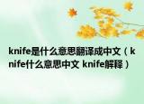 knife是什么意思翻譯成中文（knife什么意思中文 knife解釋?zhuān)? /></span></a>
                        <h2><a href=