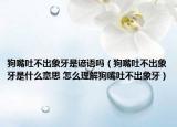 狗嘴吐不出象牙是諺語嗎（狗嘴吐不出象牙是什么意思 怎么理解狗嘴吐不出象牙）